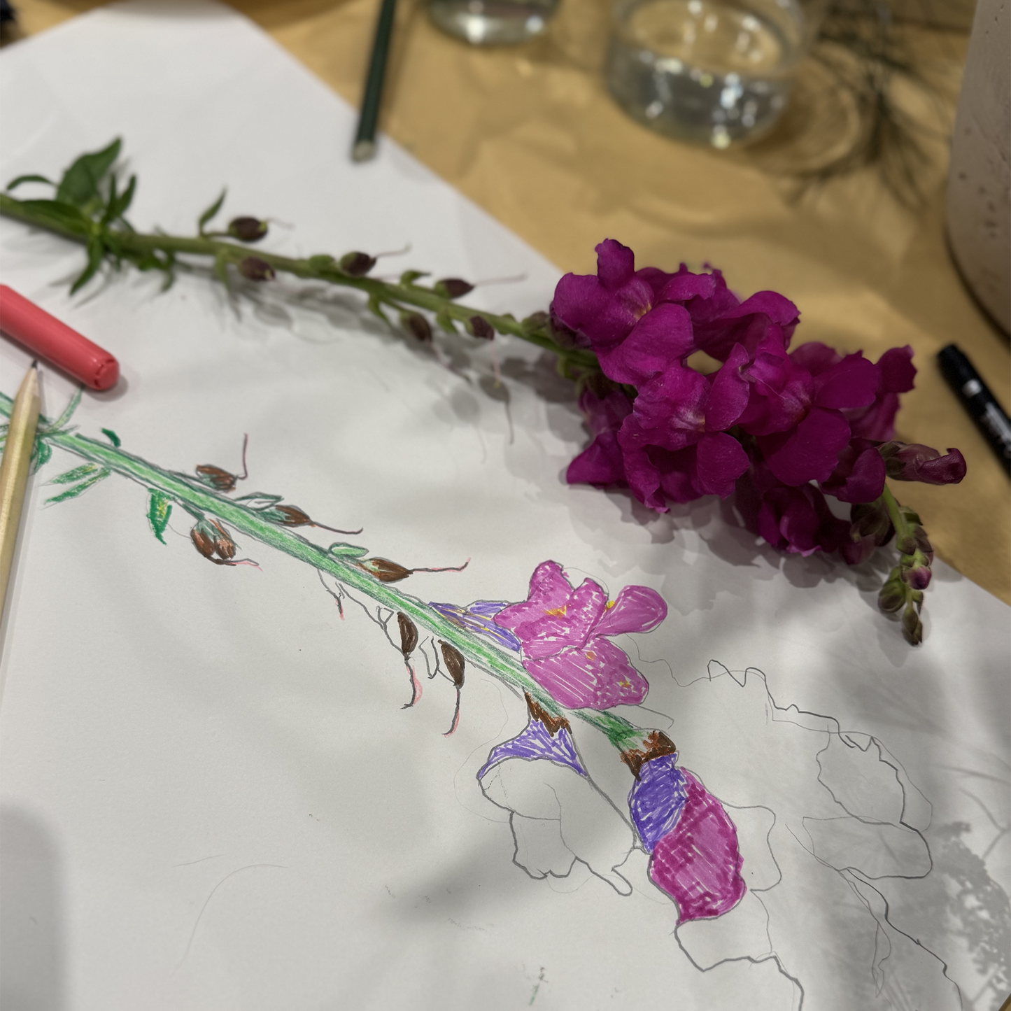 Ticket for Still Life Drawing at New World Wine