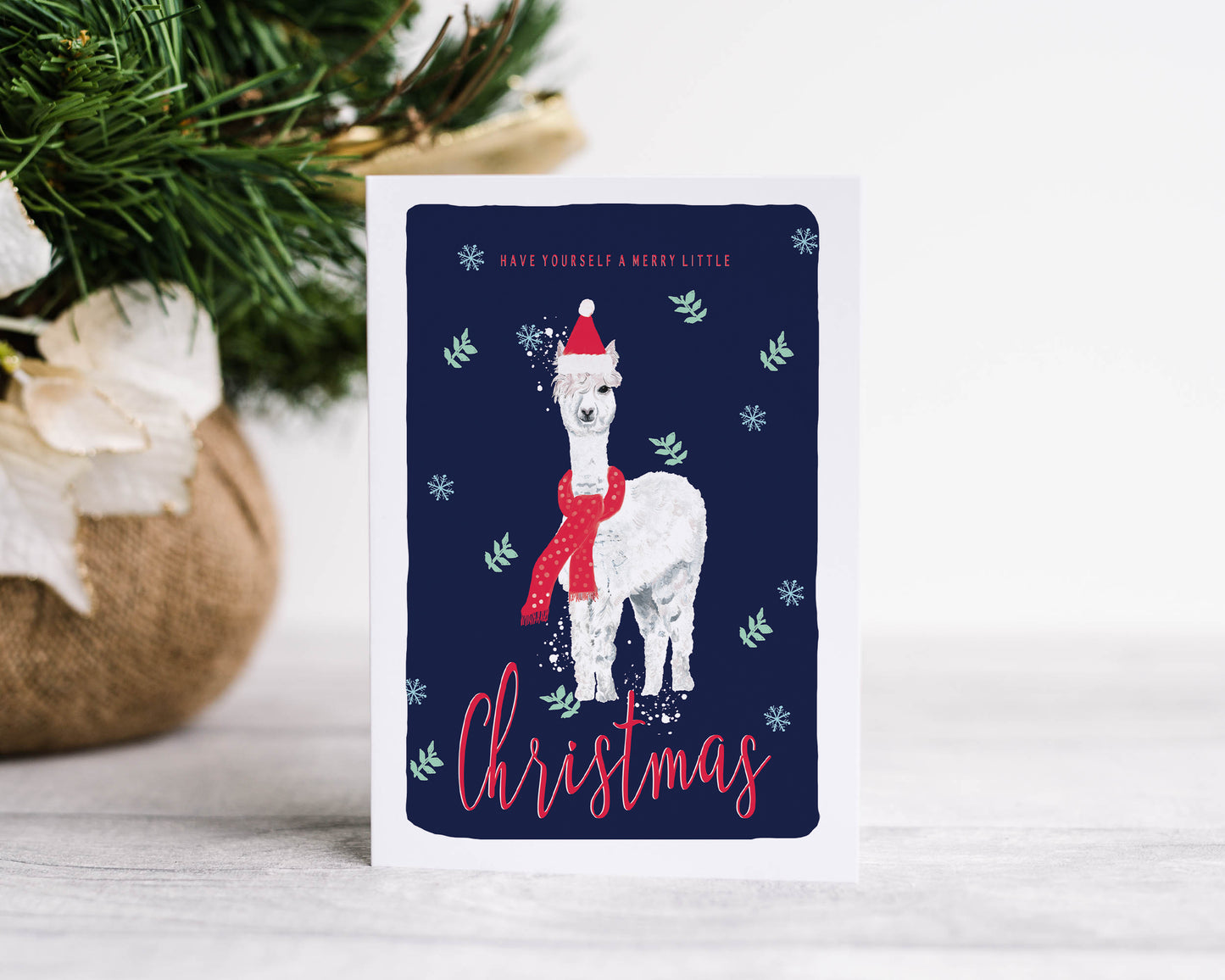Christmas Cards Pack of 6 - Alpaca / Dinosaurs