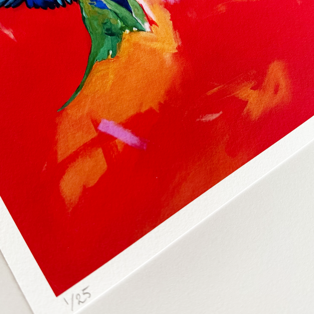 Limited Edition Numbered Giclée Print - 'True Colours'